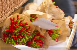 El mercado Rialto de Venecia - 10