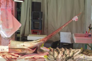 El mercado Rialto de Venecia - 12