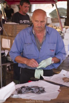 El mercado Rialto de Venecia - 20