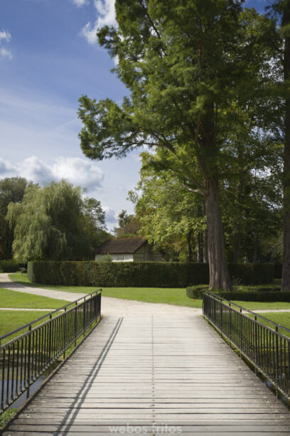 El paseo al restaurante