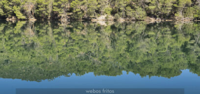 Pinos hasta el mismísimo borde