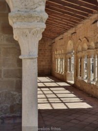 Capiteles con motivos vegetales